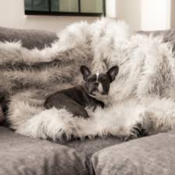 PAW Pup Protector Waterproof Blanket